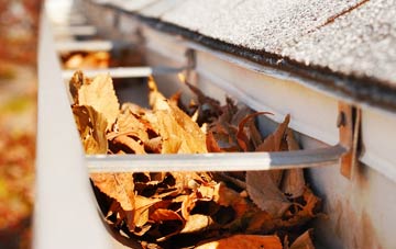 Thrumpton gutter cleaning companies