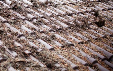 Thrumpton roof cleaning companies