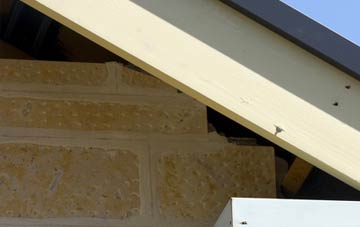 soffit repair Thrumpton